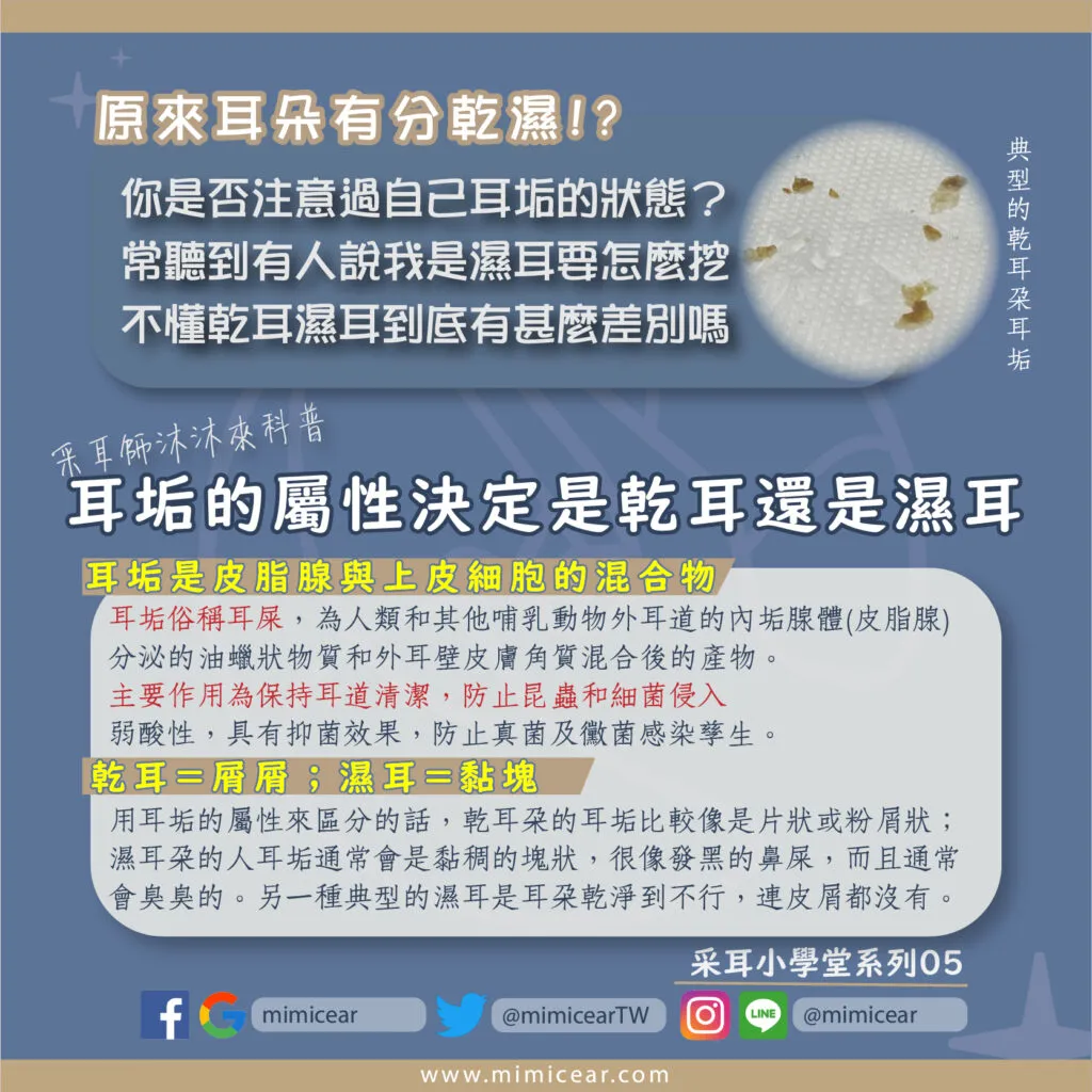 原來耳朵有分乾濕