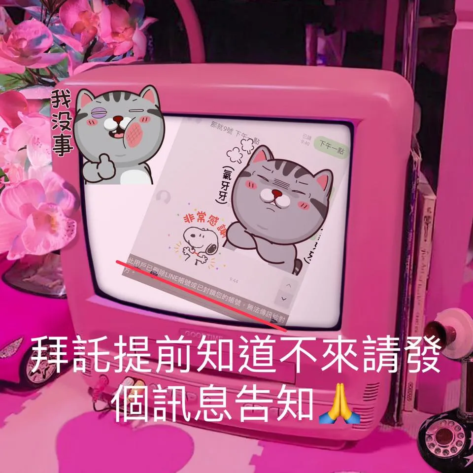 放鳥的極致