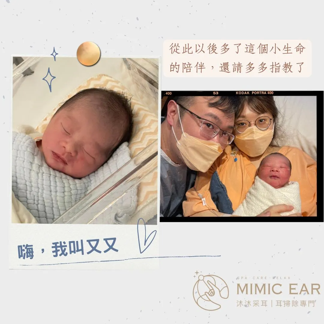 又又來報到