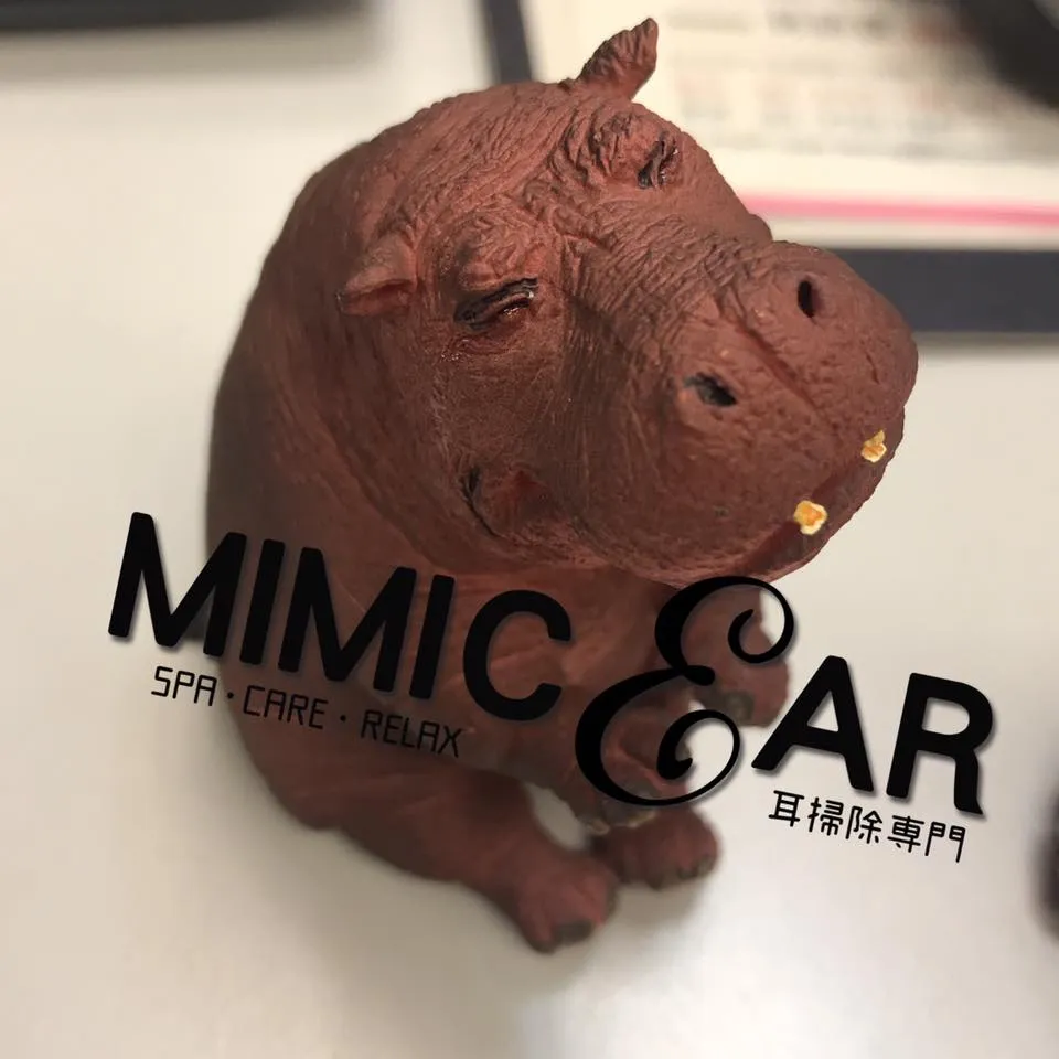 cryhippopotamus